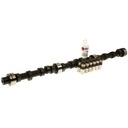 MEL-CL-SYB-38 img1