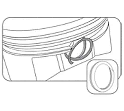 WIS-CS25 img1