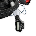 HLY-558-469 img2
