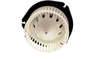 ADO-15-81819 img3