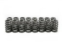 BTC-SP011-16 img1 w2