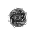 ADO-252-721 img3 w0