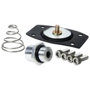 Allstar Performance ALL99430: ALL99430 Rebuild Kit for ALL40290