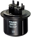 Fram G6534: In-Line Gasoline Filter