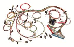 Painless Performance Fuel Injection Harnesses