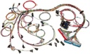 Painless Performance Products 60508: EFI Wiring Harness 1998-2004 GM LS1/LS6