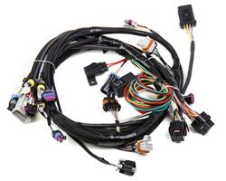 Holley EFI Systems Wiring Harnesses