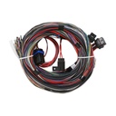 Holley 558-105: 558-105 Dominator EFI Unterminated Wiring Harness