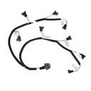 Holley 558-213: 558-213 Injector Harness Ford V8 Injector Harness for Jetronic " Bosch" style Fuel Injectors (Evenly Spaced)