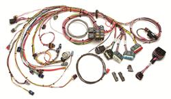 Painless Performance Fuel Injection Harnesses