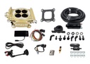 FITech Fuel Injection 31005: 31005 Easy Street EFI 600 HP Throttle Body System Master Kit with In-line Fuel Pump