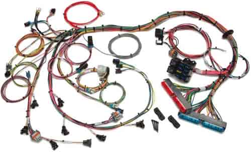 Painless Performance Products 60509: EFI Wiring Harness 1998-2004 GM LS1/LS6