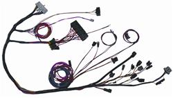 The Detail Zone Ford 2.3 Turbo EFI Engine Swap Wiring Harnesses