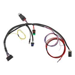 Holley Sniper 2 EFI Main Wiring Harnesses