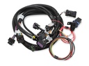 Holley 558-121: 558-121 Terminator Stealth 2x4 Main Harness