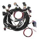 Holley 558-111: 558-111 HARNESS TBI LSX 24X
