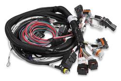Holley EFI Systems Wiring Harnesses
