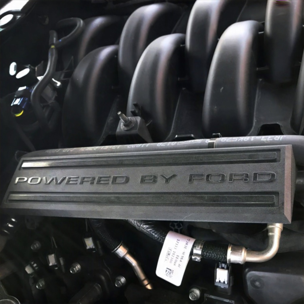 Ford Performance M-9680-M50BA: 5.0L ENGINE DRESS UP KIT