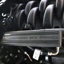 Ford Performance M-9680-M50BA: 5.0L ENGINE DRESS UP KIT