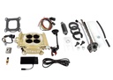 FITech Fuel Injection 36205: 36205 Easy Street 600 HP Classic Gold EFI System With Go Fuel 340 LPH In-Tank Master Kit
