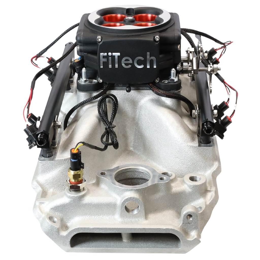 FITech Fuel Injection 30454: GO PORT BBC OVAL PORT