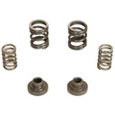 BD Diesel 1040187: 1040187 Governor Spring Kits 1994-1998 Dodge for Cummins Diesel