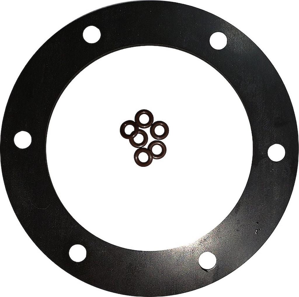 Tanks Inc. 3G-V-OR: 3G-V-OR 3-1/4 in. Diameter 6 Hole Viton Gasket w/ O-Rings