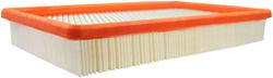 Fram Extra Guard Air Filters