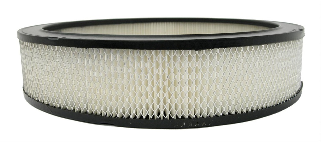 ACDelco A212CW: AIR FILTER