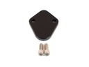 Canton Racing Products 21-960: 21-960 Fuel Pump Block-Off Plate 1969-Up Pontiac
