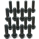 Chevrolet Performance 12367959: Intake Manifold Bolt Kit Big Block Chevy