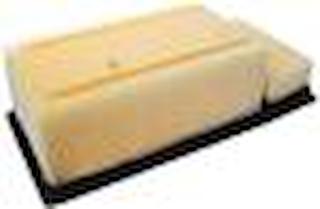 Motorcraft FA1902: AIR CLEANER ELEMENT