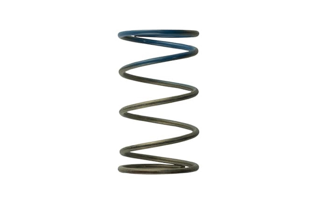Turbosmart TS-0505-2005: Wastegate Spring 10 psi (Brown/Blue Outer Spring)