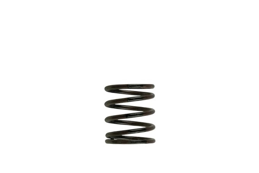 Turbosmart TS-0505-2001: Wastegate Spring 3 psi (Brown/Black Inner Spring)