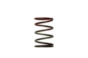 Turbosmart TS-0505-2004: Wastegate Spring 11 psi (Brown/Red Middle Spring)