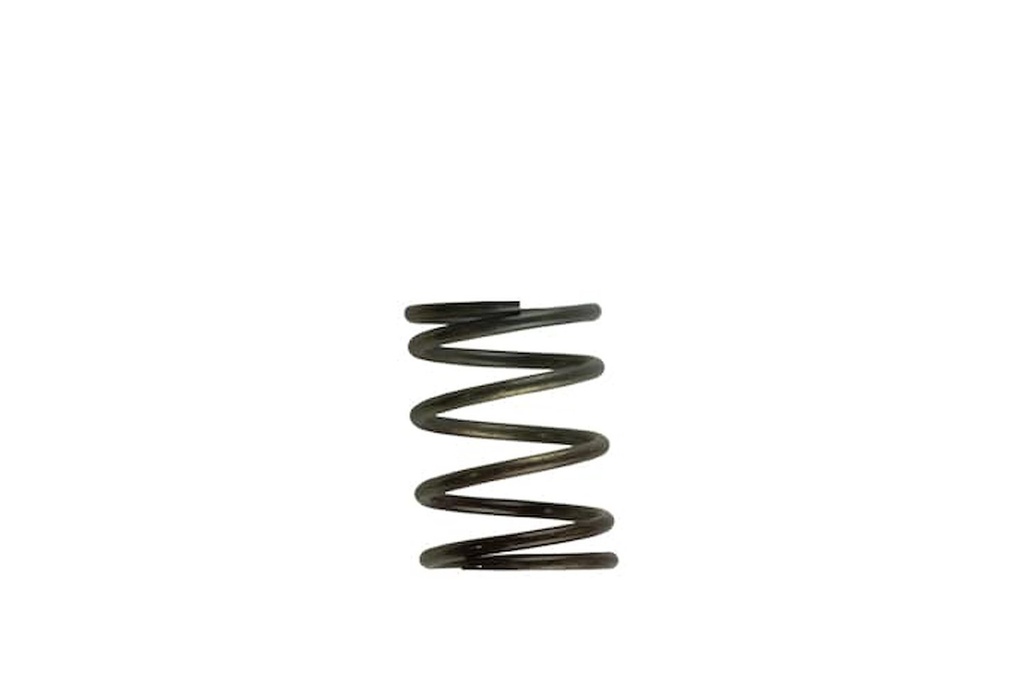 Turbosmart TS-0505-2002: Wastegate Spring 5 psi (Brown/Gray Inner Spring)