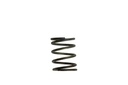 Turbosmart TS-0505-2002: Wastegate Spring 5 psi (Brown/Gray Inner Spring)