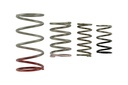 Turbosmart TS-0600-2011: TS-0600-2011 GenV IWG Spring Replacement Kit, Universal