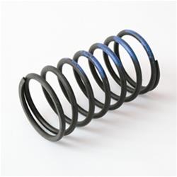 Turbosmart Wastegate Springs