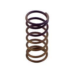 Turbosmart Wastegate Springs