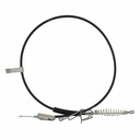 Motorcraft BRCA260: CABLE ASY - PARKING (P)
