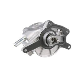 Standard Motor Vacuum Pumps