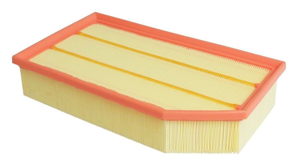 Crown Automotive 68257030AA: 68257030AA Air Filter