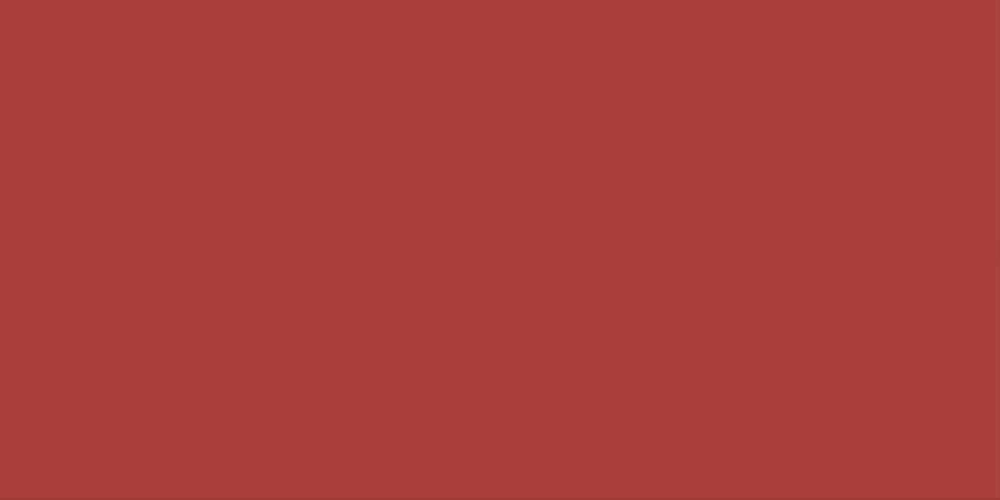 Allstar Performance ALL22462: Plastic Sheet 4ft x 8ft