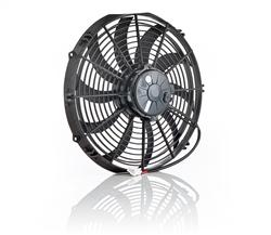 Be Cool Qualifier Fans