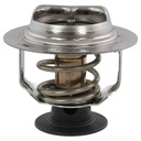 Motorcraft RT1252: THERMOSTATASY (P)