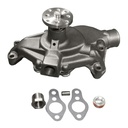 ACDelco 252-581: Water Pump Kit (SLP)