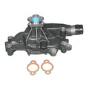 ACDelco 252-732: PUMP KIT WAT