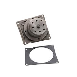 Dayco Water Pumps