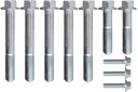 ICT Billet 551374-CTR: 551374-CTR Water Pump and Thermostat Housing Bolt Kit for GM Gen V LT Engines [Center WP Pulley]
